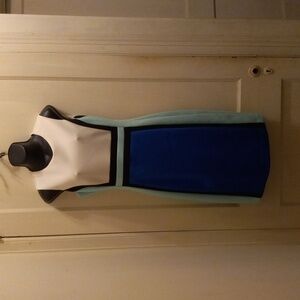 Calvin Klein Blue and White Colorblock Dress
